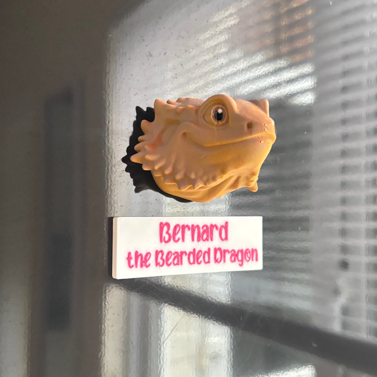 Magnets - Bernard the Bearded Dragon