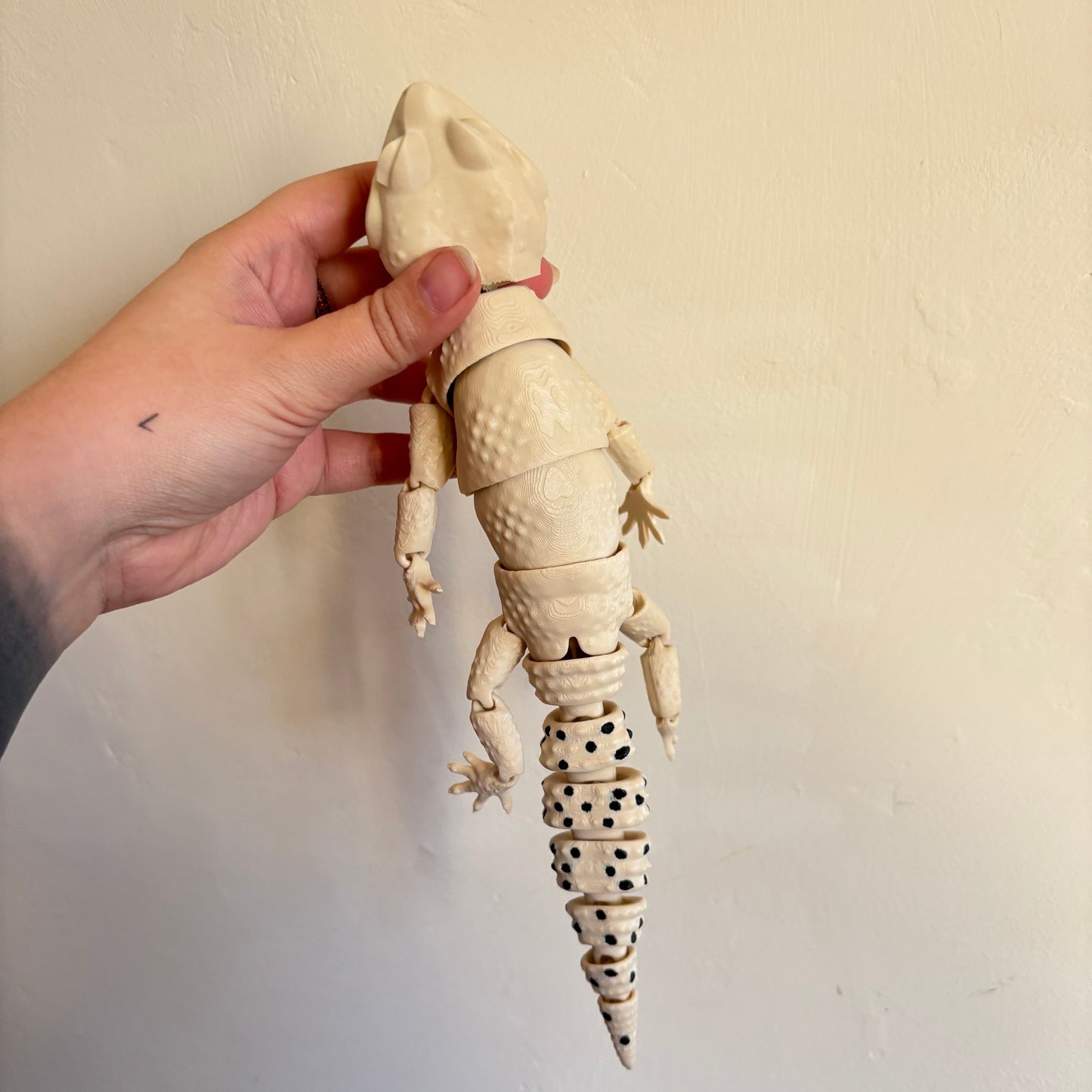 Fidget - Lenny the Leopard Gecko!