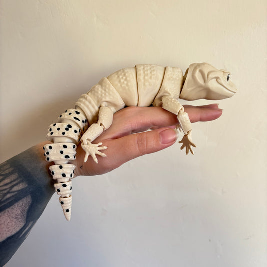Fidget - Lenny the Leopard Gecko!