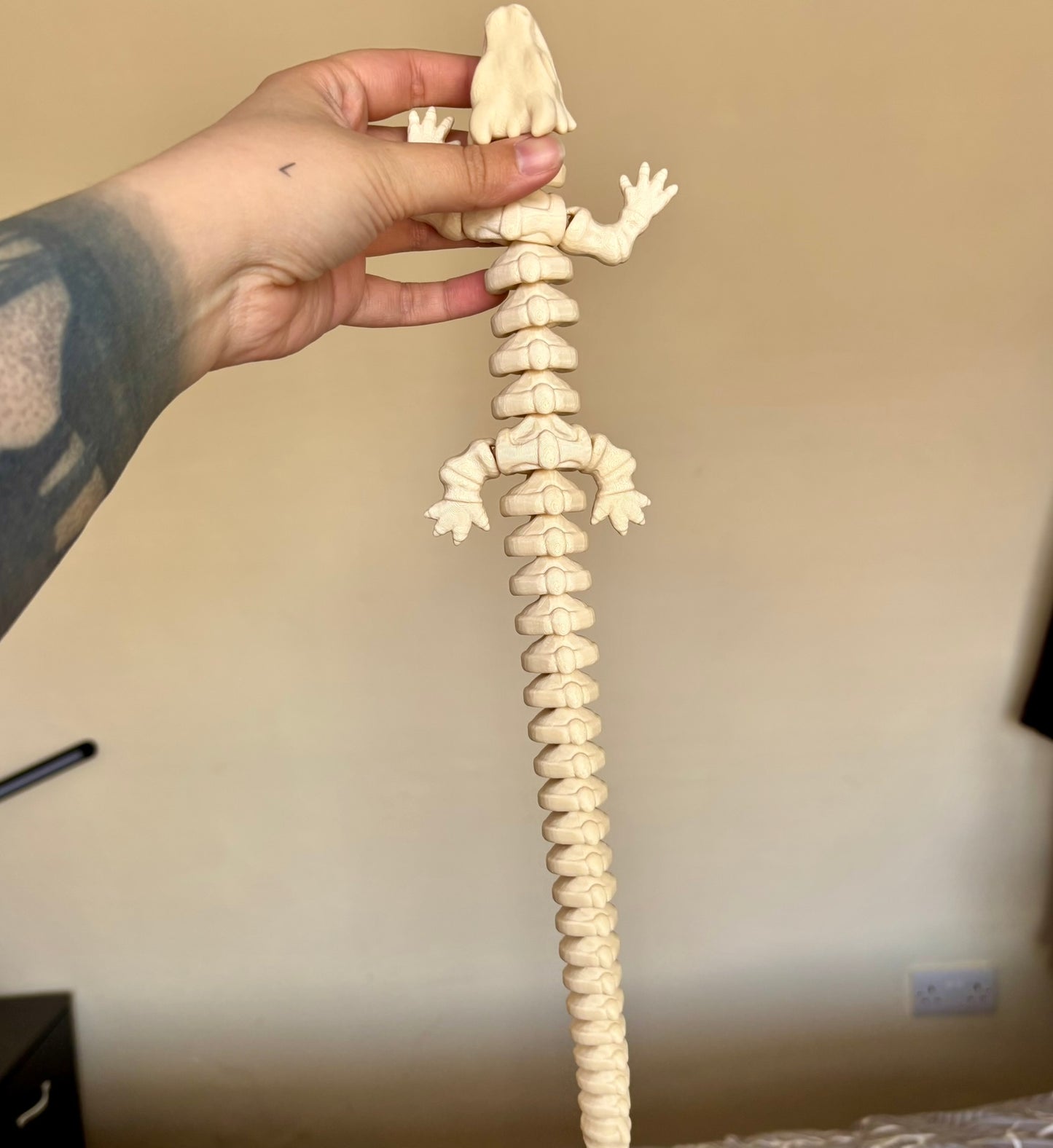 Fidget Skeleton Dragon - Bone