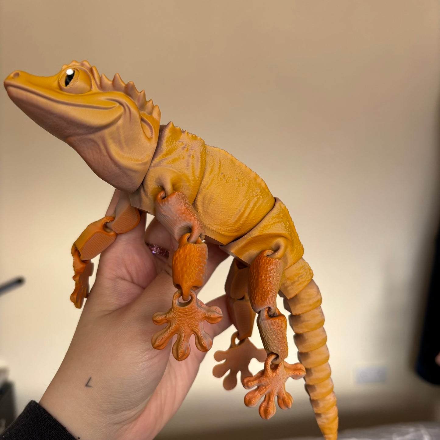 Fidget - Gary the Crested Gecko!