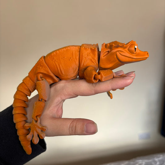 Fidget - Gary the Crested Gecko!