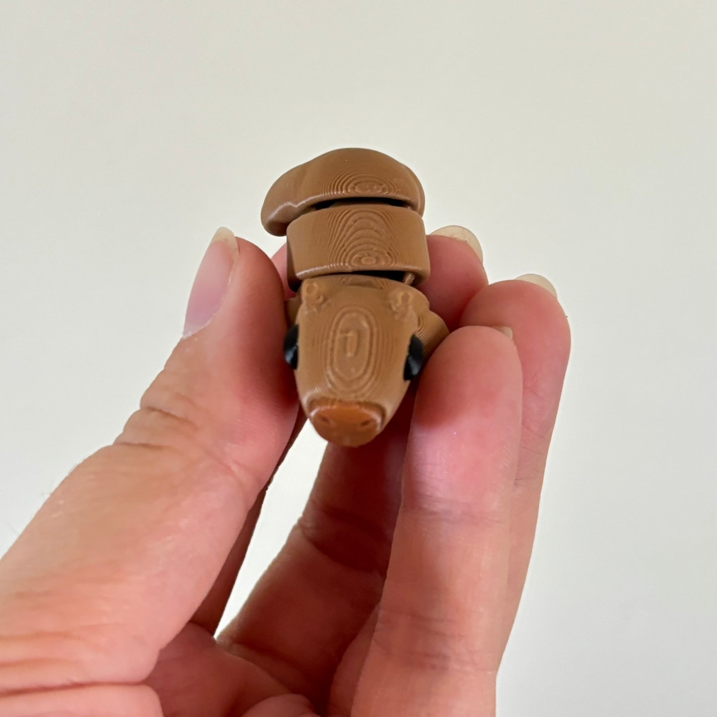 Wiggle Capybara Fidget
