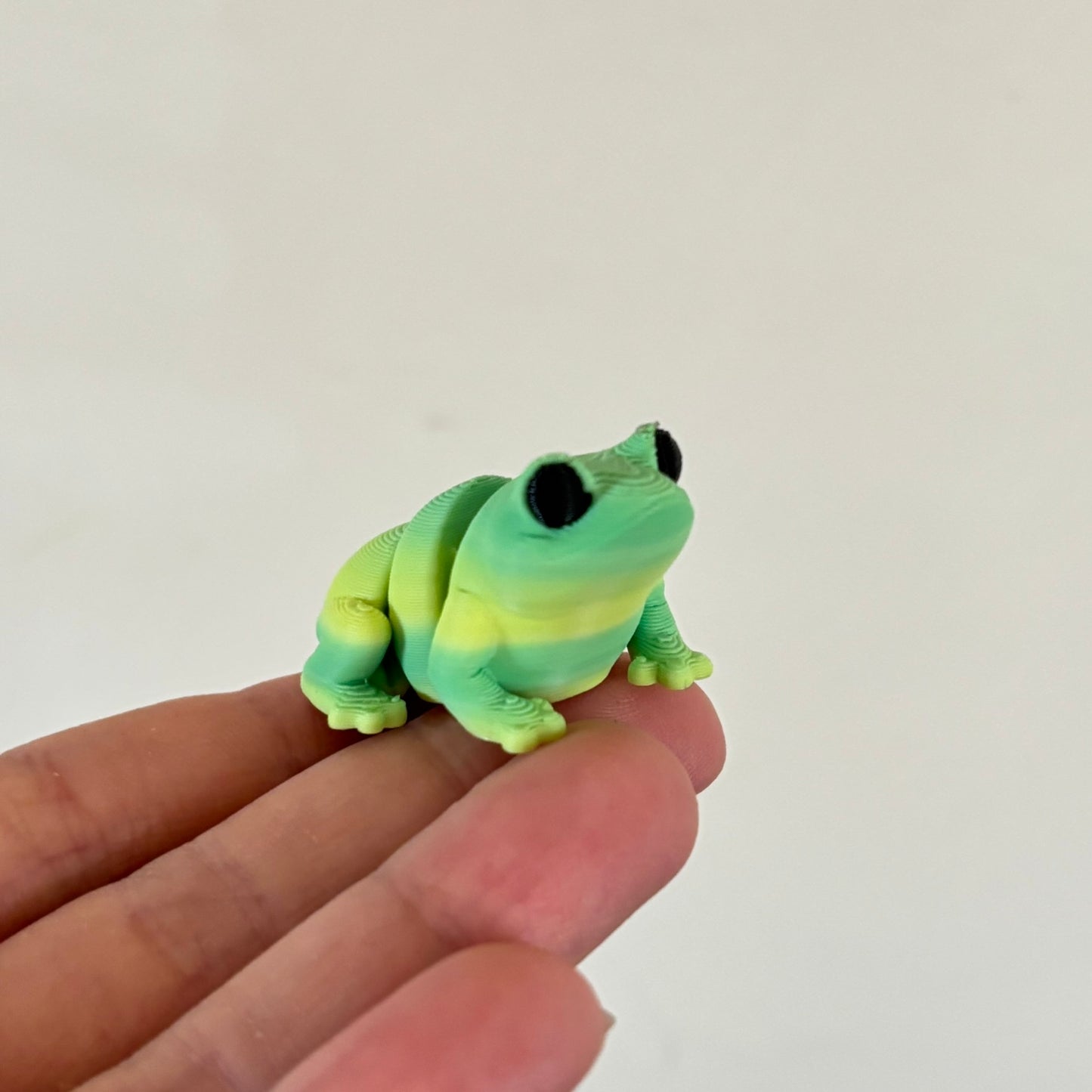 Wiggle Frog Fidget