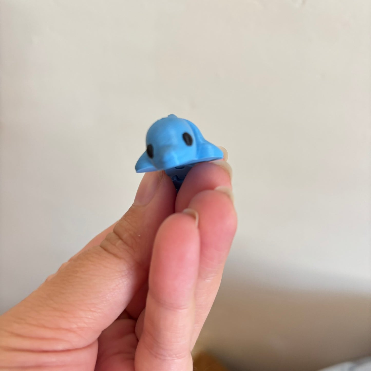 Wiggle Dolphin Fidget