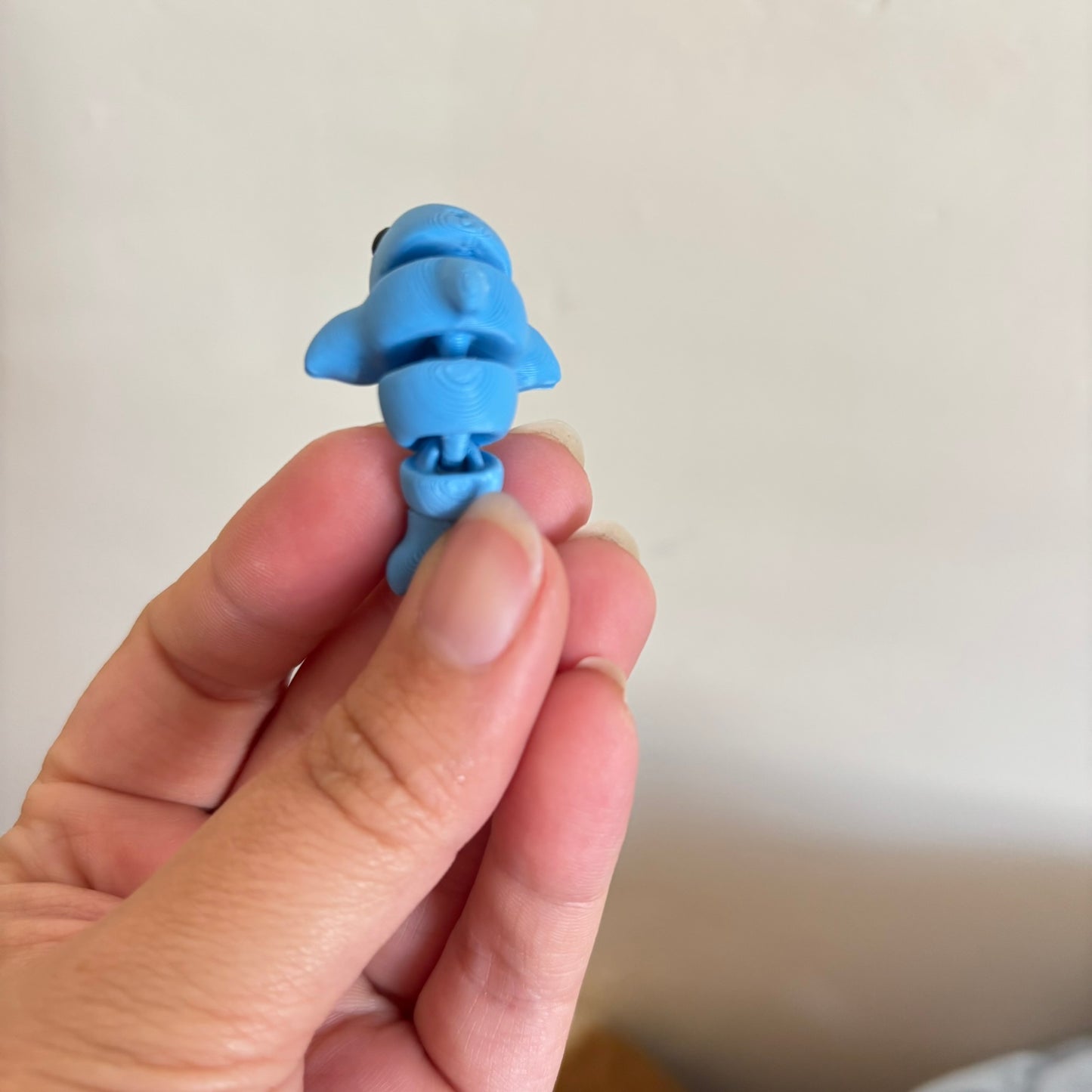 Wiggle Dolphin Fidget
