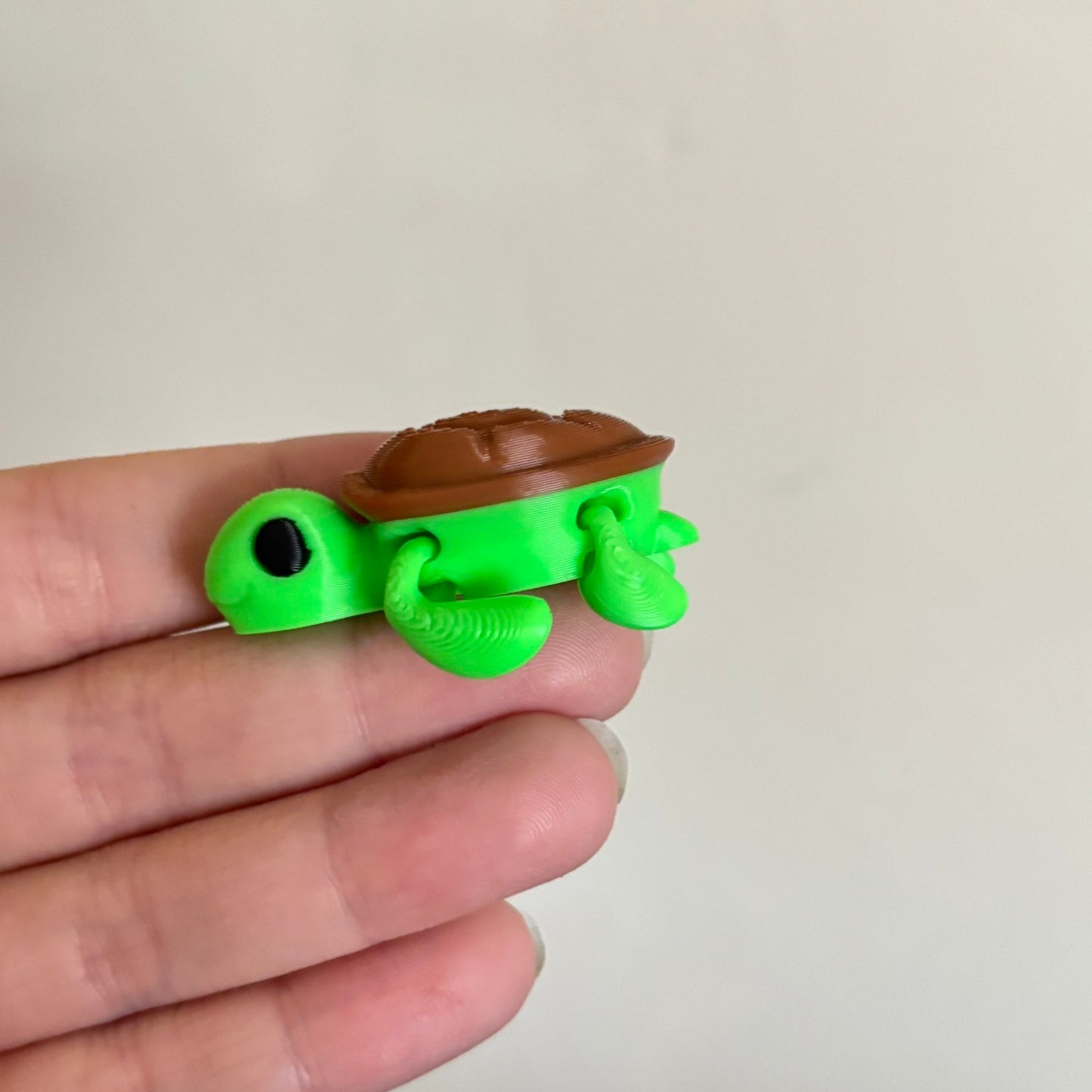 Wiggle Turtle Fidget