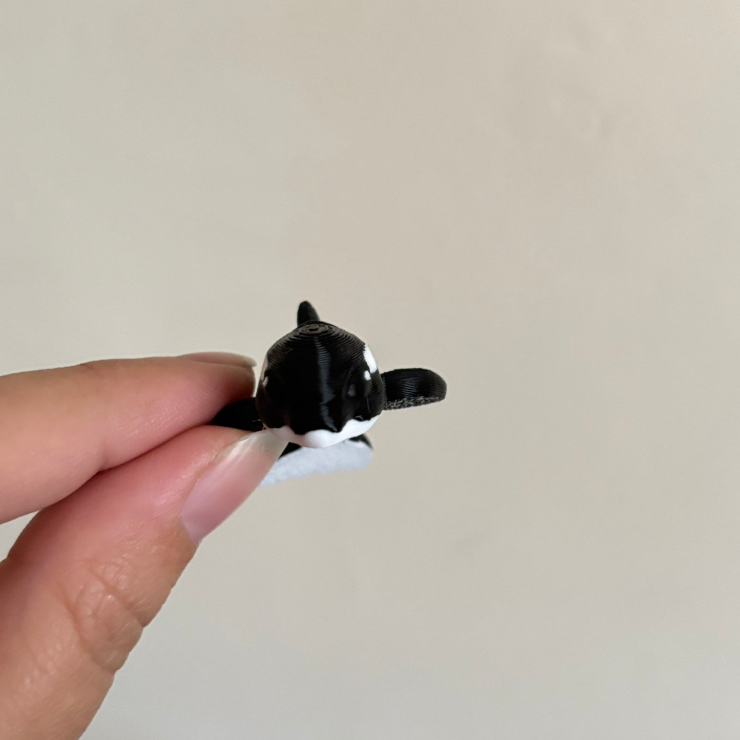 Wiggle Killer Whale/Orca Fidget