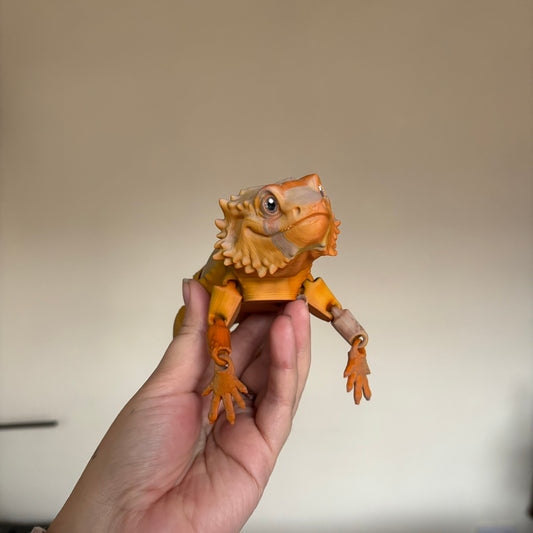 Fidget - Bernard the Bearded Dragon!