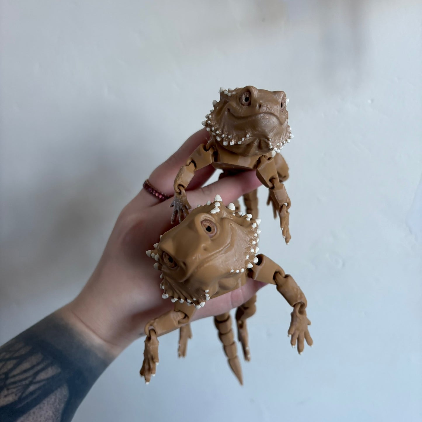 Fidget - Bernard the Bearded Dragon!