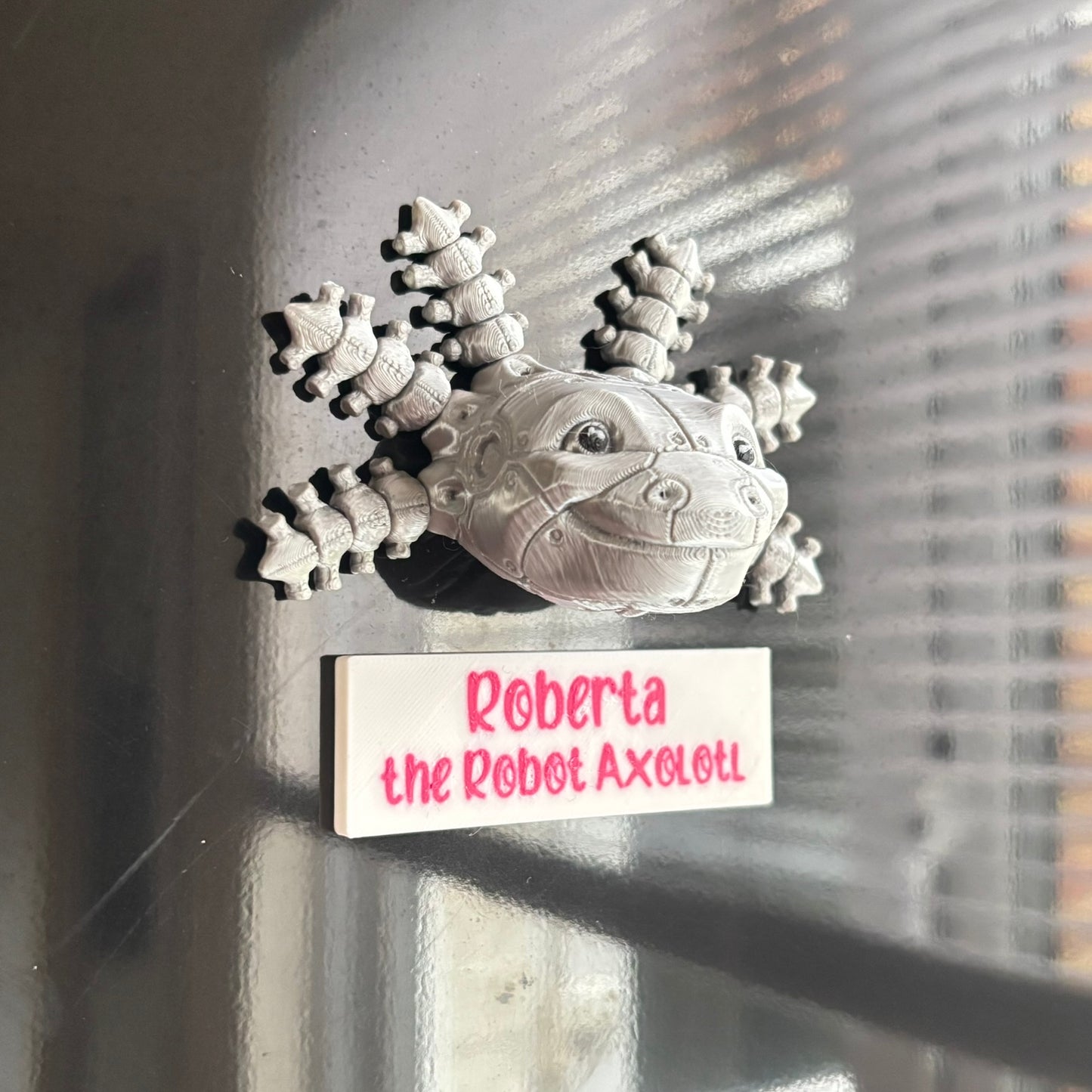 Magnets - Roberta the Robot Axolotl