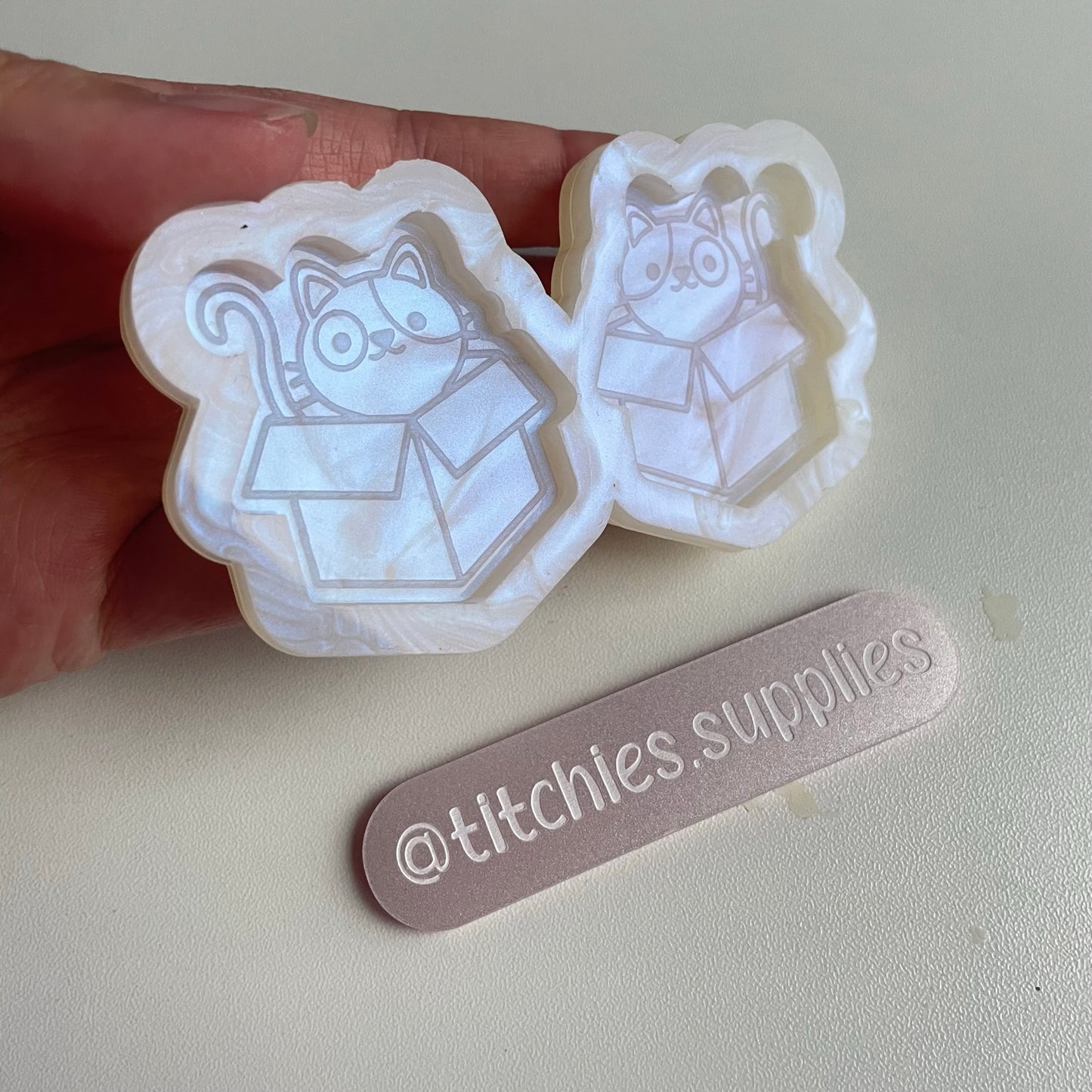 Cat in a Box Earring Mould