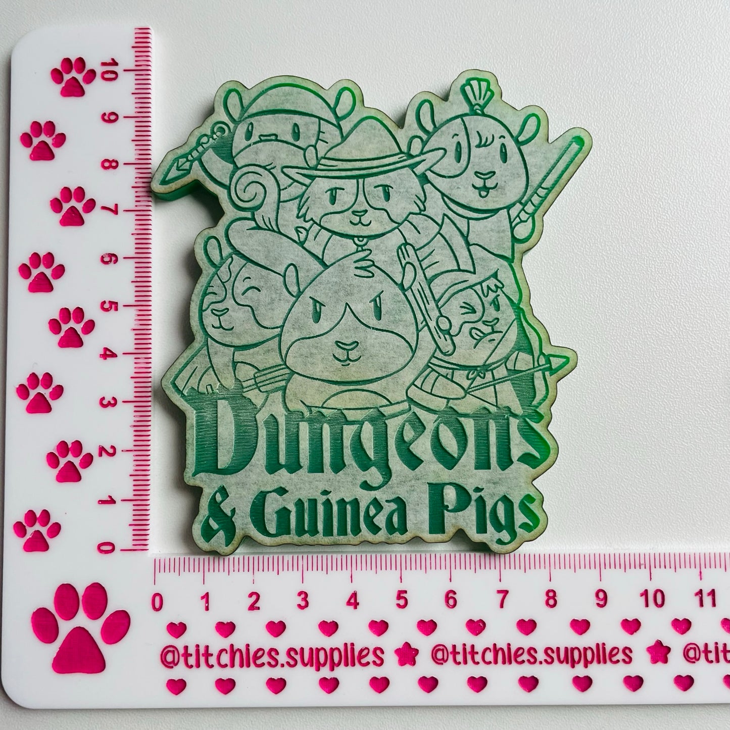 Dungeons and Guinea Pigs Large Mould, 5mm thick