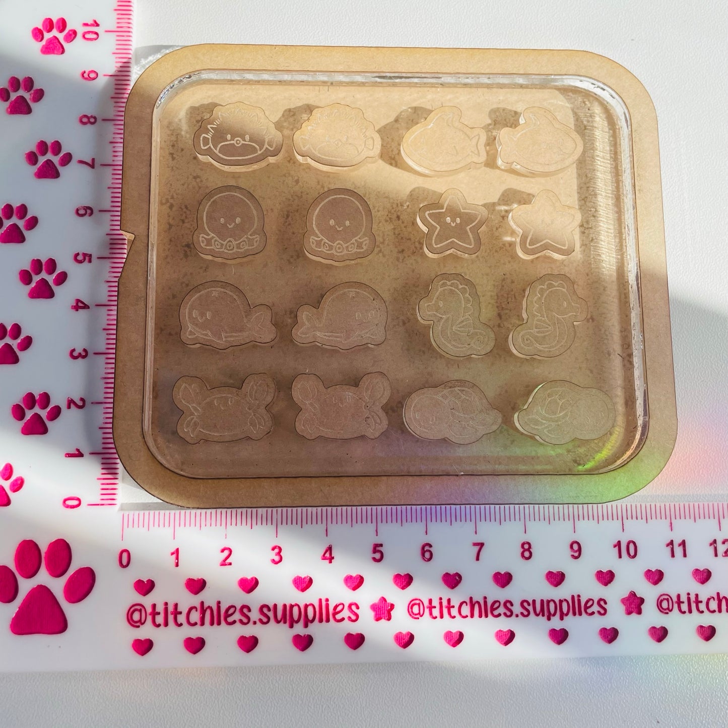 Sealife Stud Palette Mould