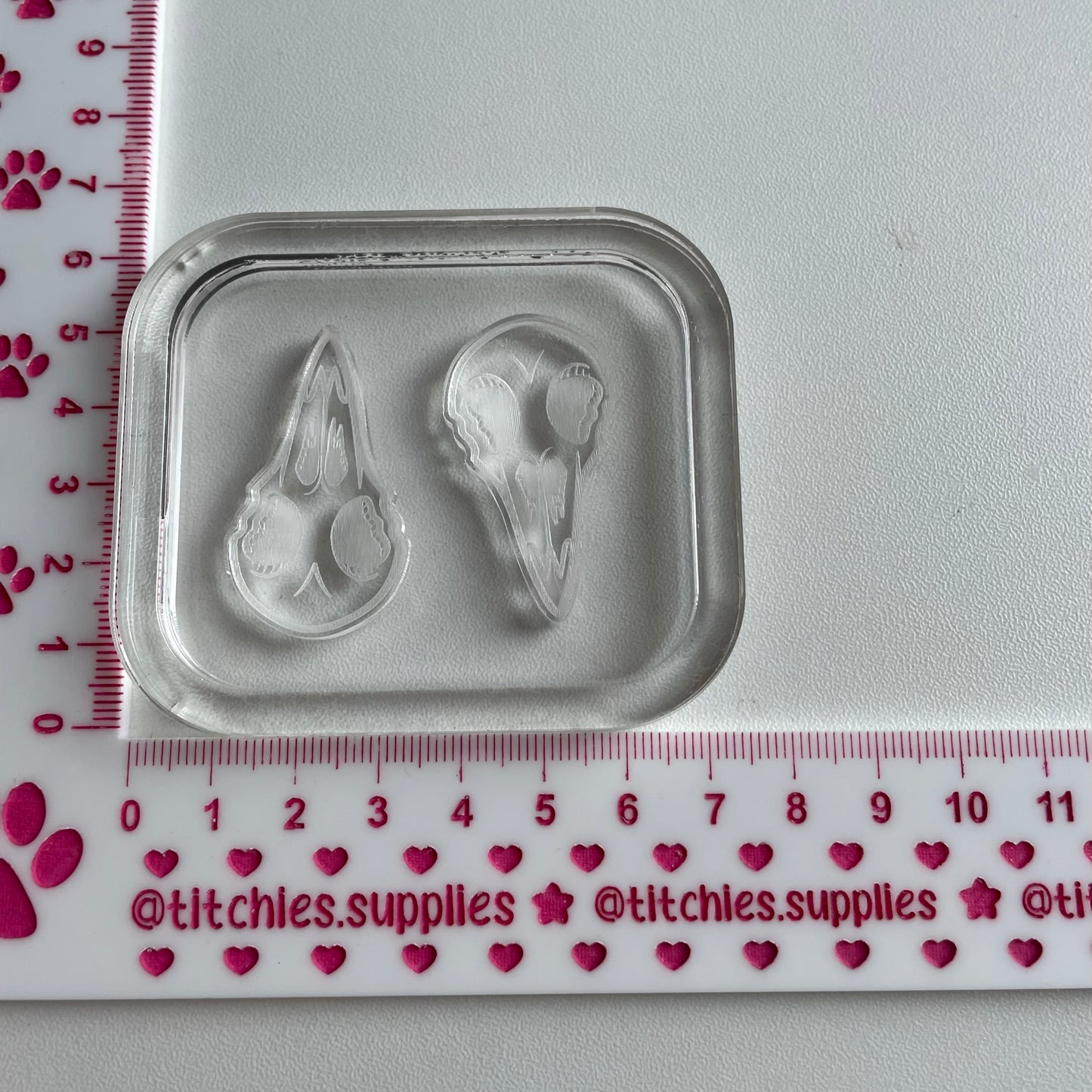 Bird Skull Earring Mould