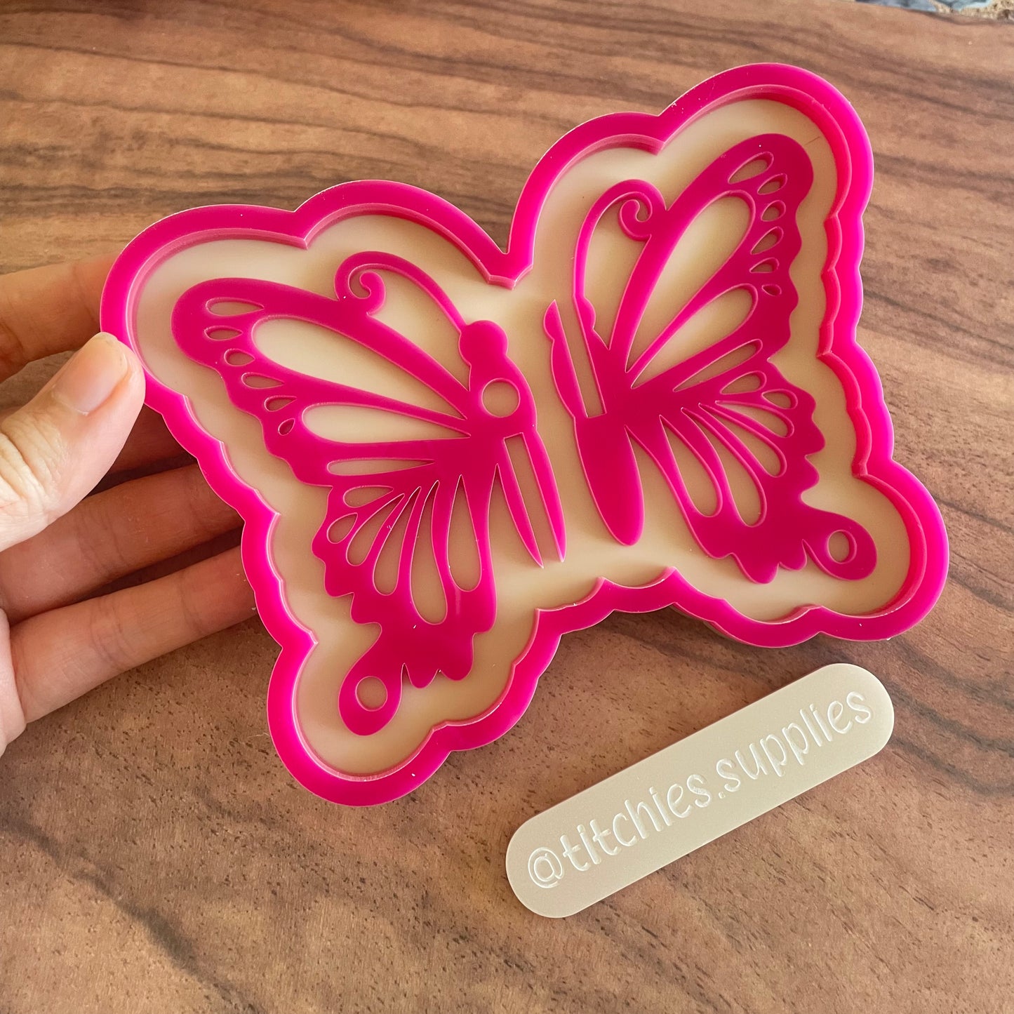 Butterfly Wall Hanging Mould