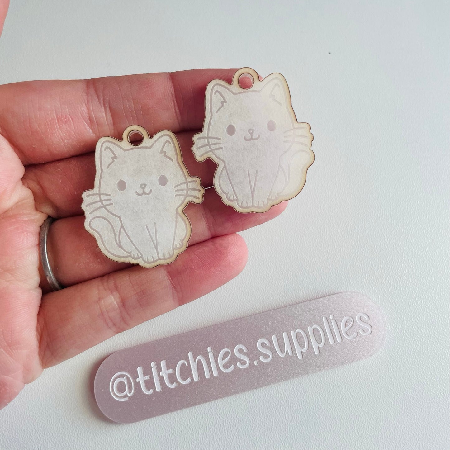 Cute Cat Earring Mould