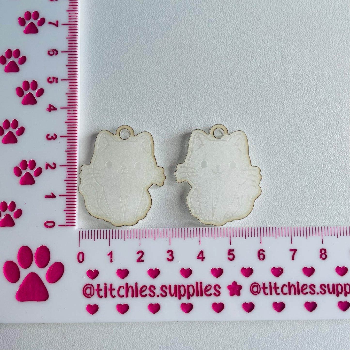 Cute Cat Earring Mould