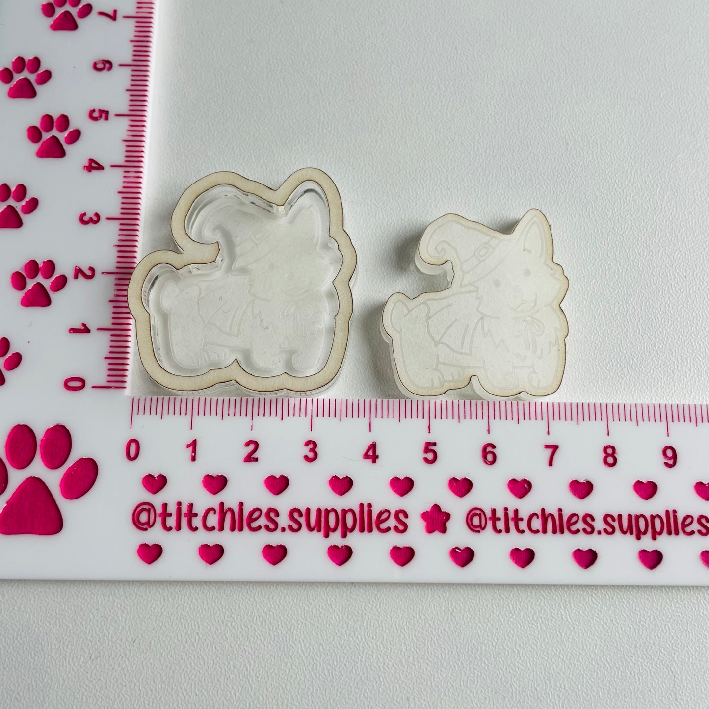 Witch Doggo Shaker Mould