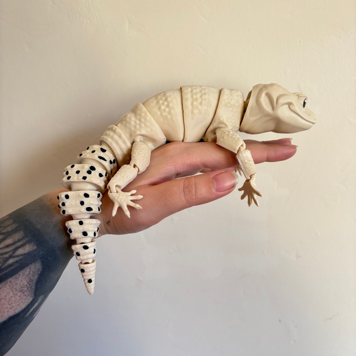 Fidget - Lenny the Leopard Gecko!