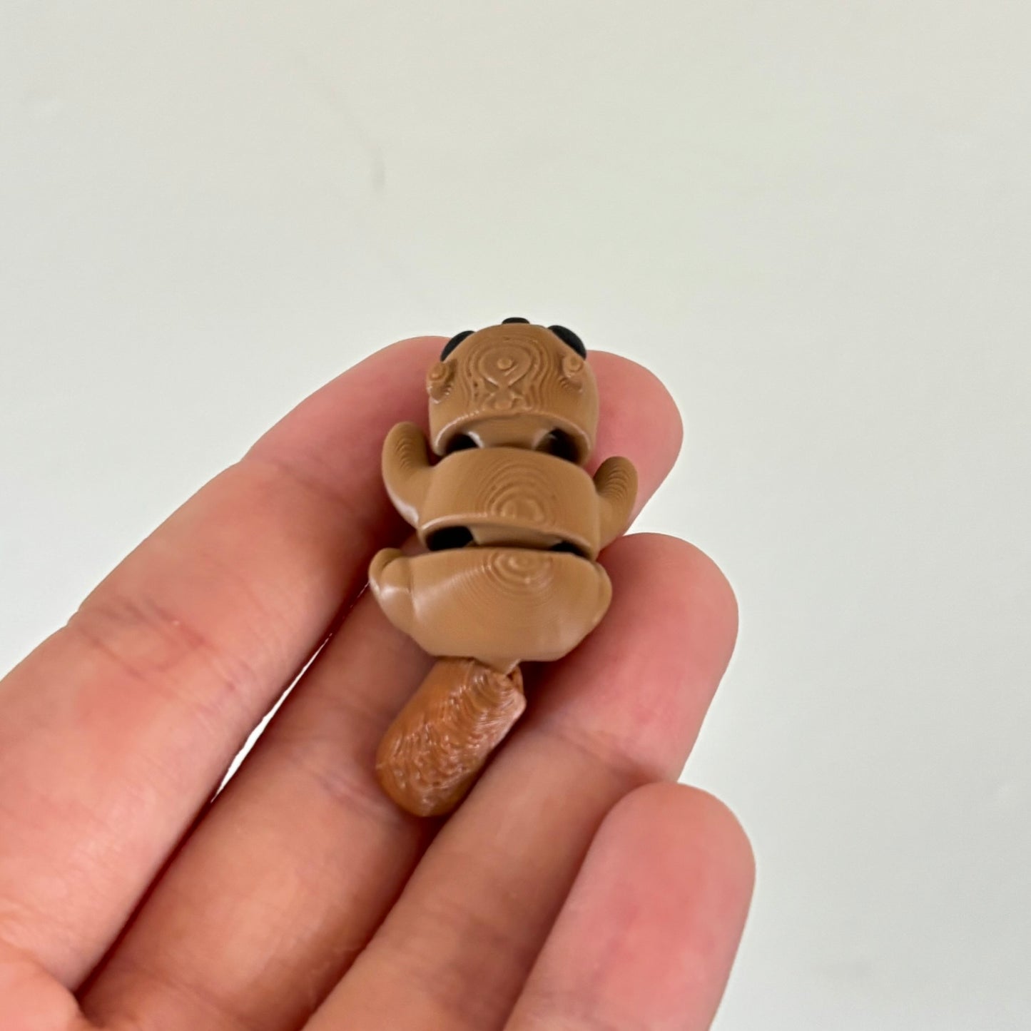 Wiggle Beaver Fidget