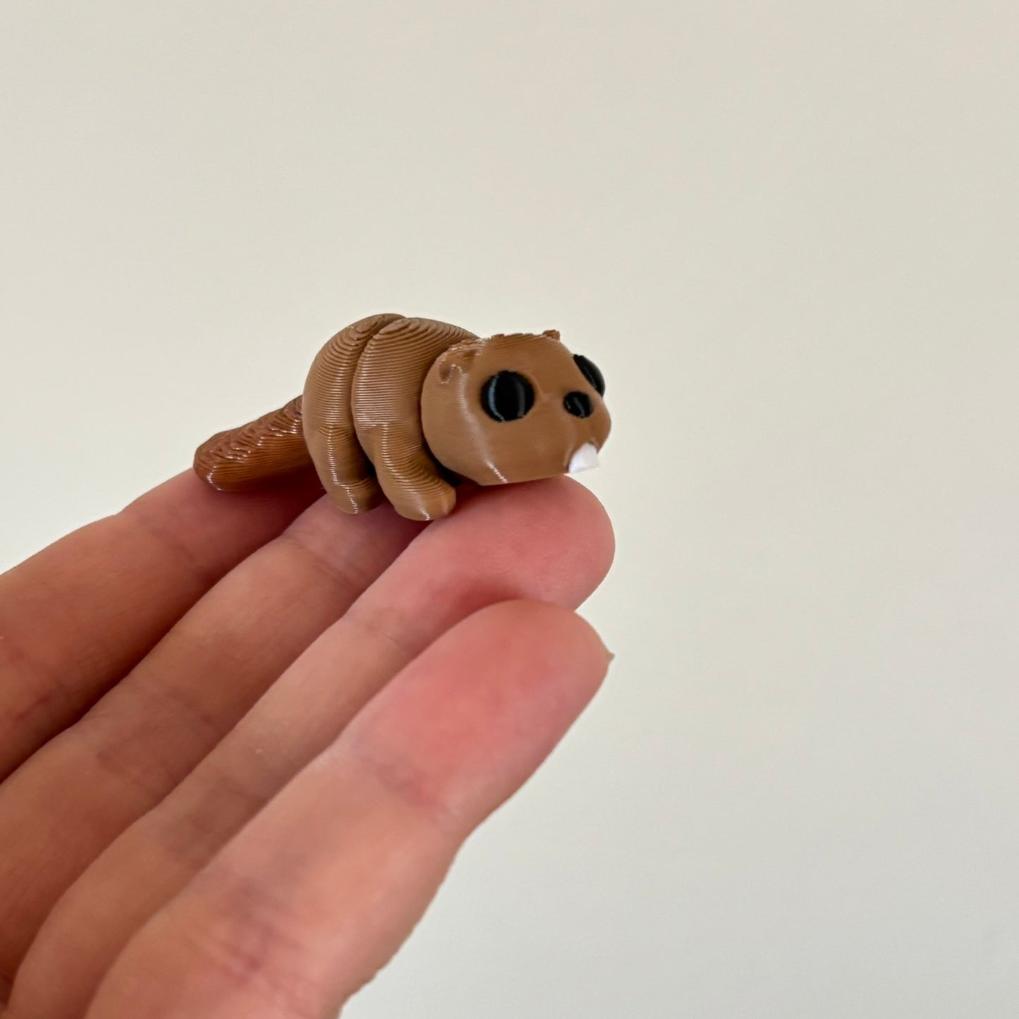 Wiggle Beaver Fidget