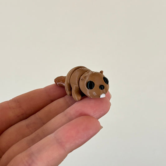 Wiggle Beaver Fidget