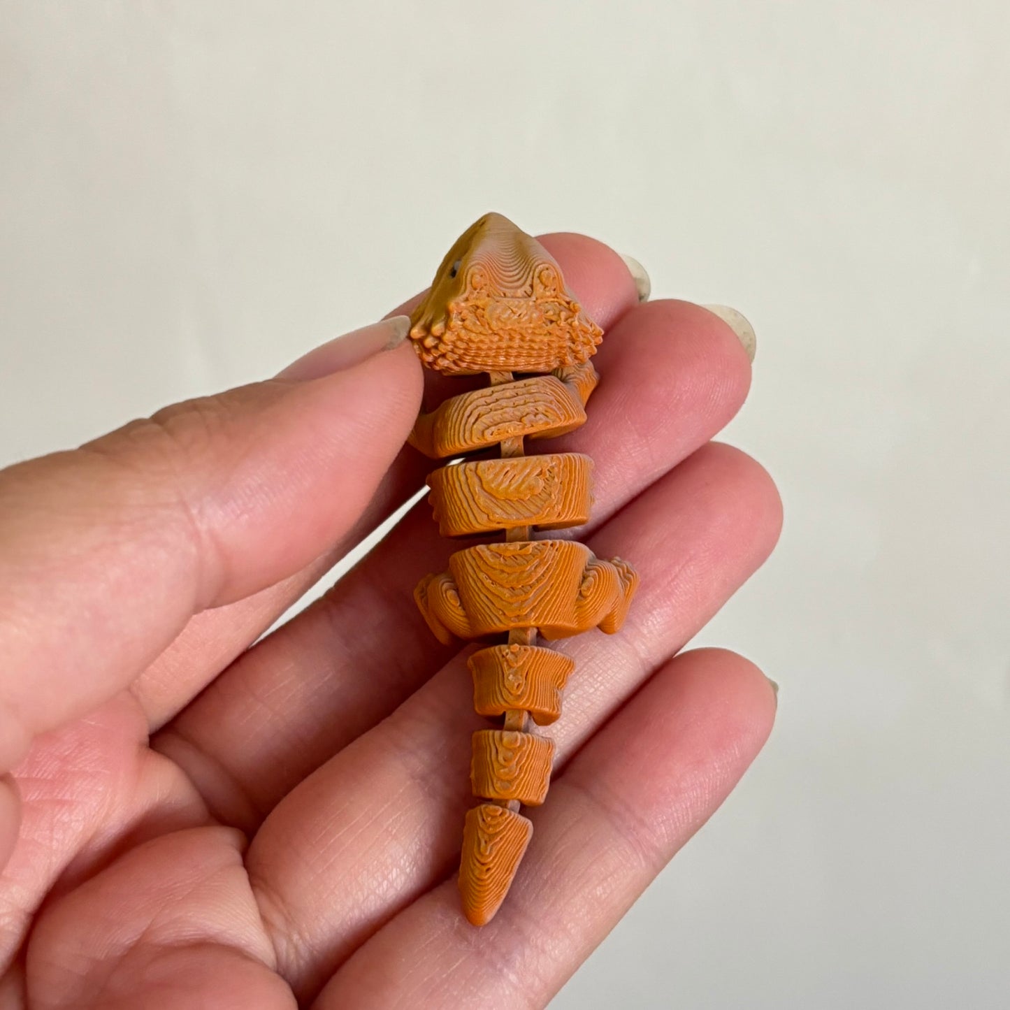 Wiggle Bearded Dragon Fidget