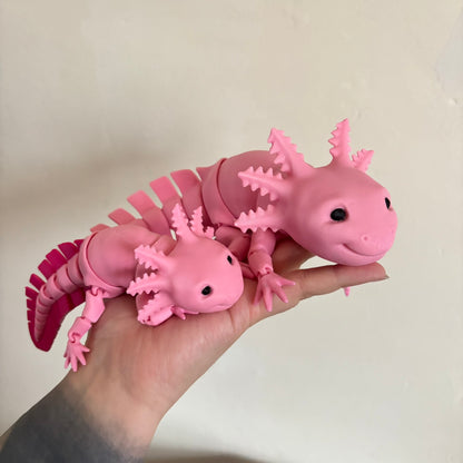 Fidget - Axel the Axolotl!