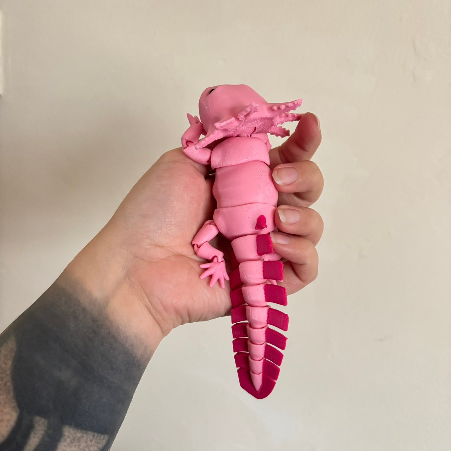 Fidget - Axel the Axolotl!