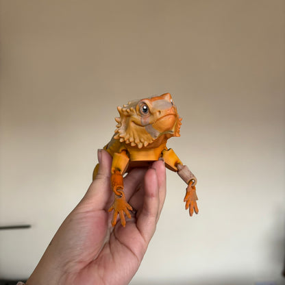 Fidget - Bernard the Bearded Dragon!