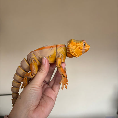 Fidget - Bernard the Bearded Dragon!