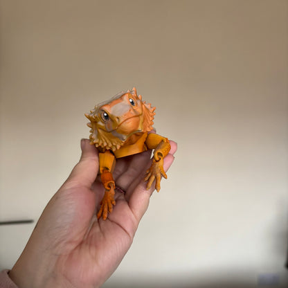 Fidget - Bernard the Bearded Dragon!