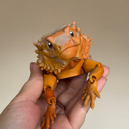 Fidget - Bernard the Bearded Dragon!