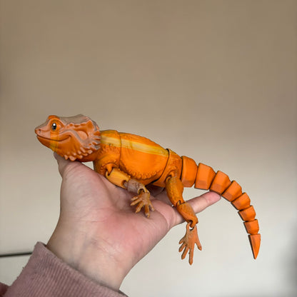 Fidget - Bernard the Bearded Dragon!