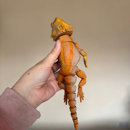 Fidget - Bernard the Bearded Dragon!