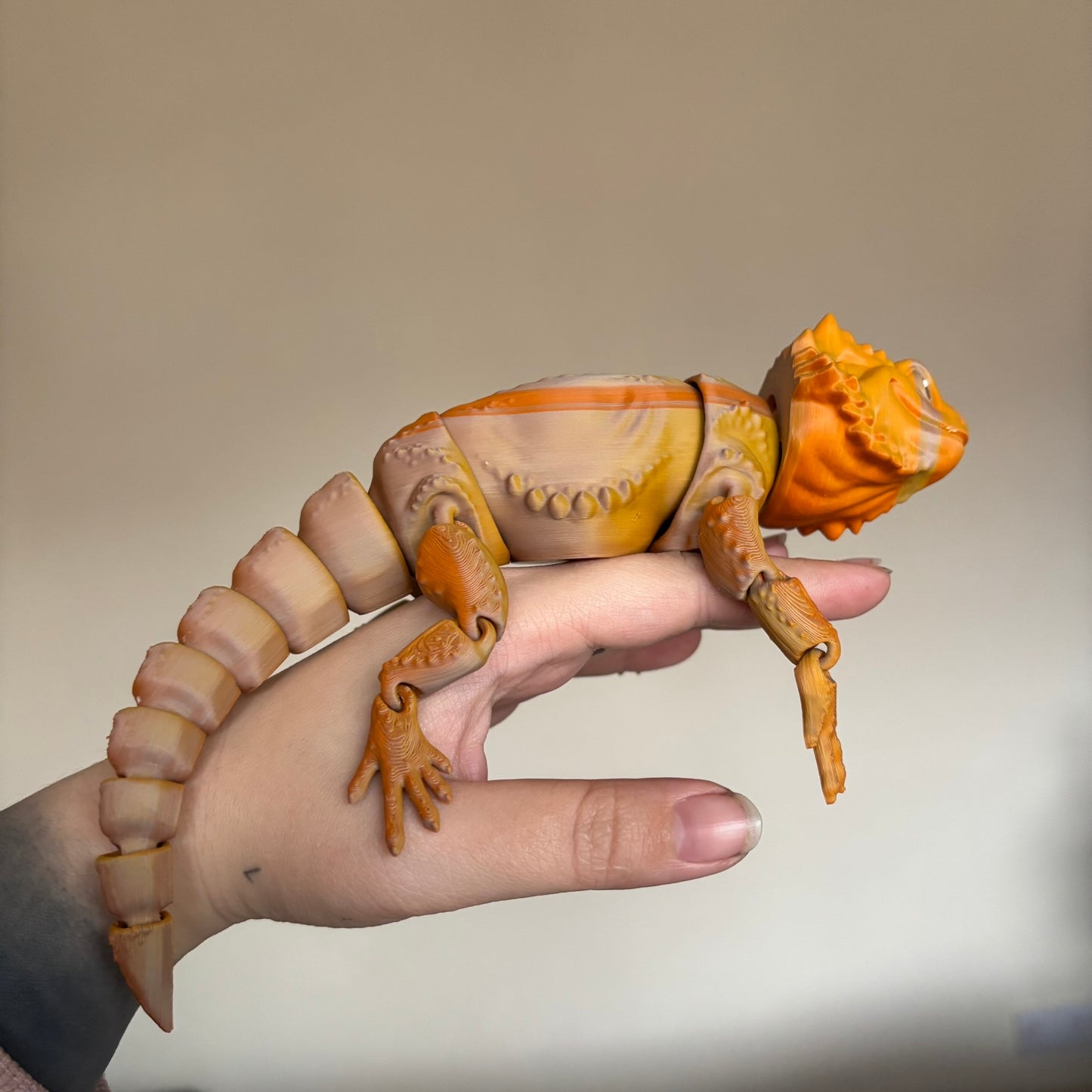 Fidget - Bernard the Bearded Dragon!