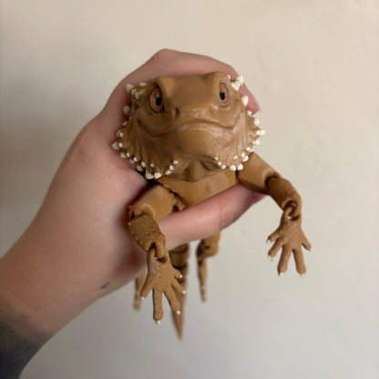 Fidget - Bernard the Bearded Dragon!