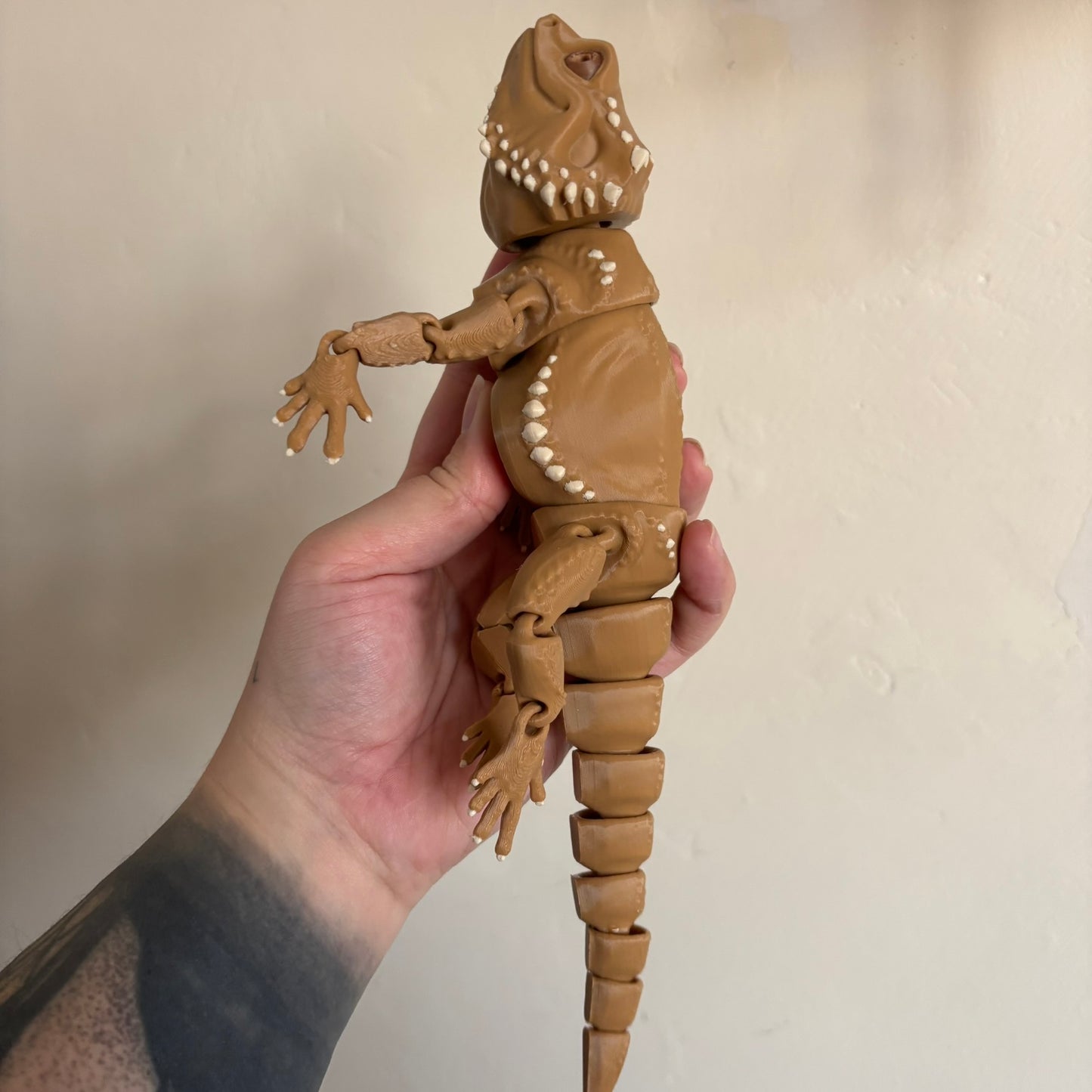 Fidget - Bernard the Bearded Dragon!