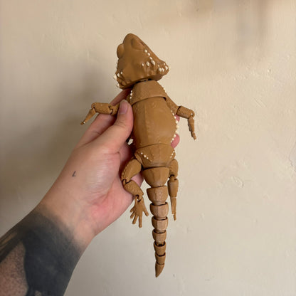 Fidget - Bernard the Bearded Dragon!