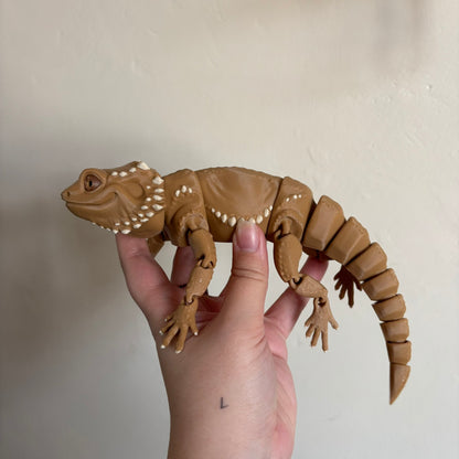 Fidget - Bernard the Bearded Dragon!