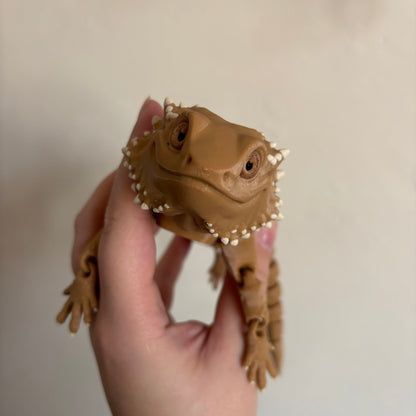 Fidget - Bernard the Bearded Dragon!