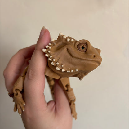 Fidget - Bernard the Bearded Dragon!