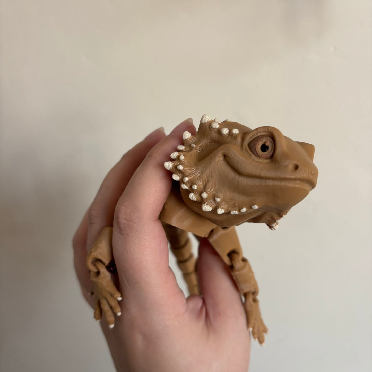 Fidget - Bernard the Bearded Dragon!