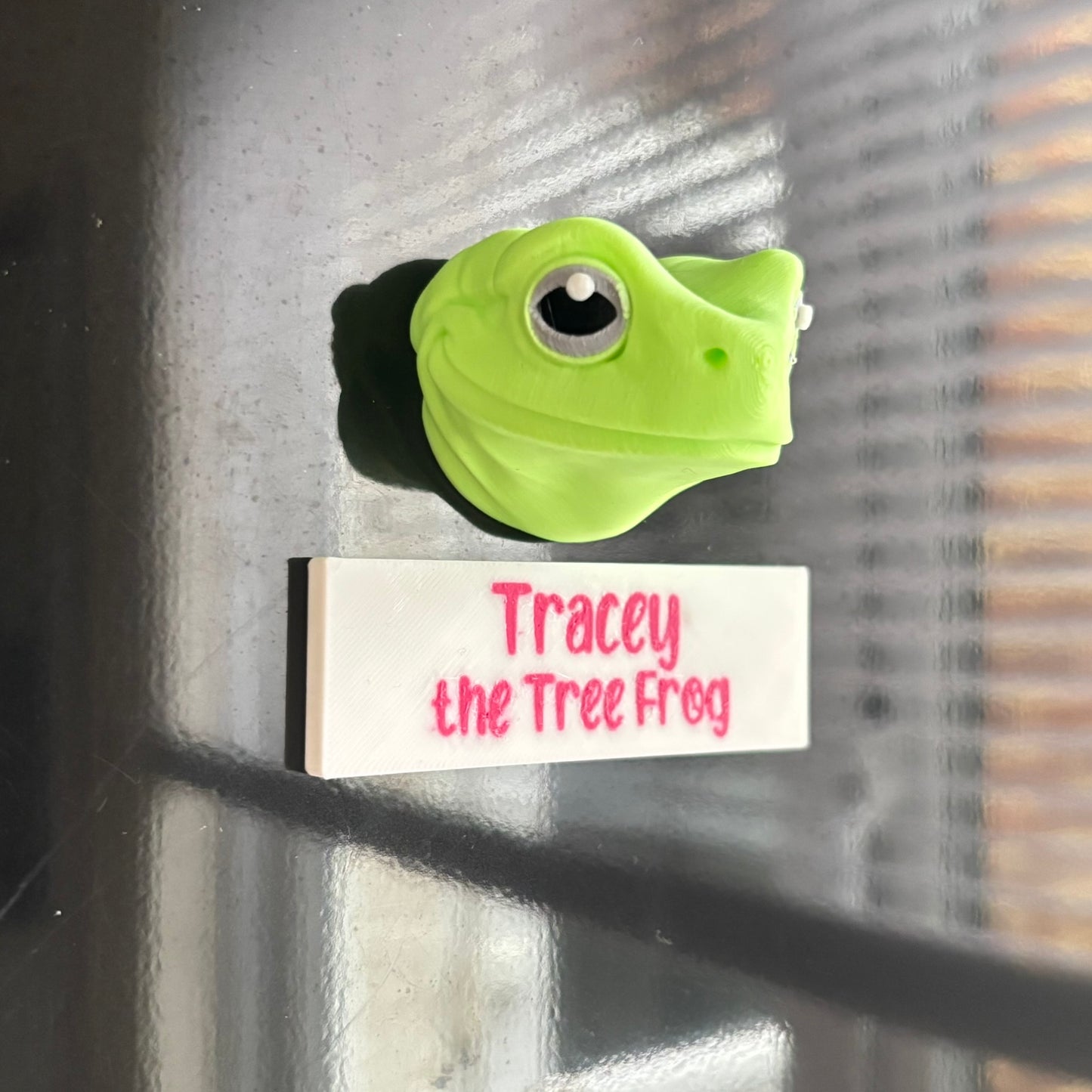 Magnets - Tracey the Tree Frog