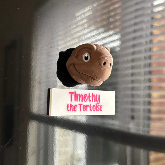 Magnets - Timothy the Tortoise