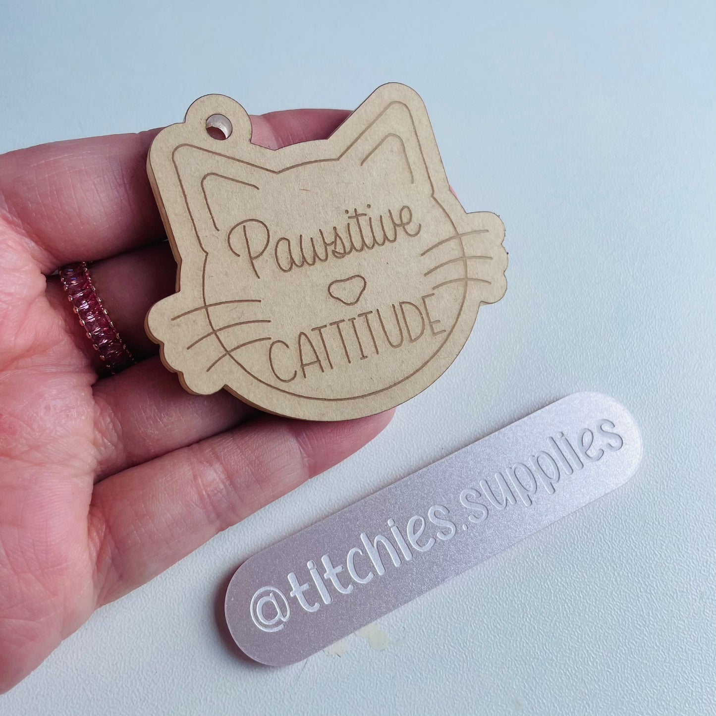 Pawsitive Cattitude Mould, 6mm thick