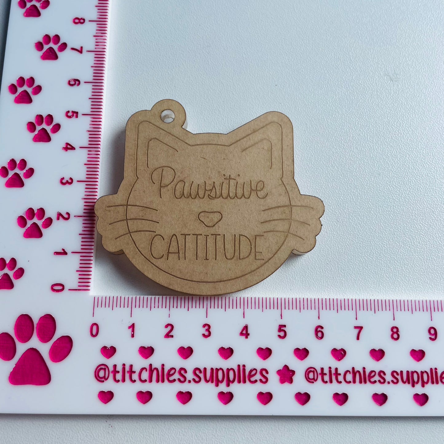 Pawsitive Cattitude Mould, 6mm thick