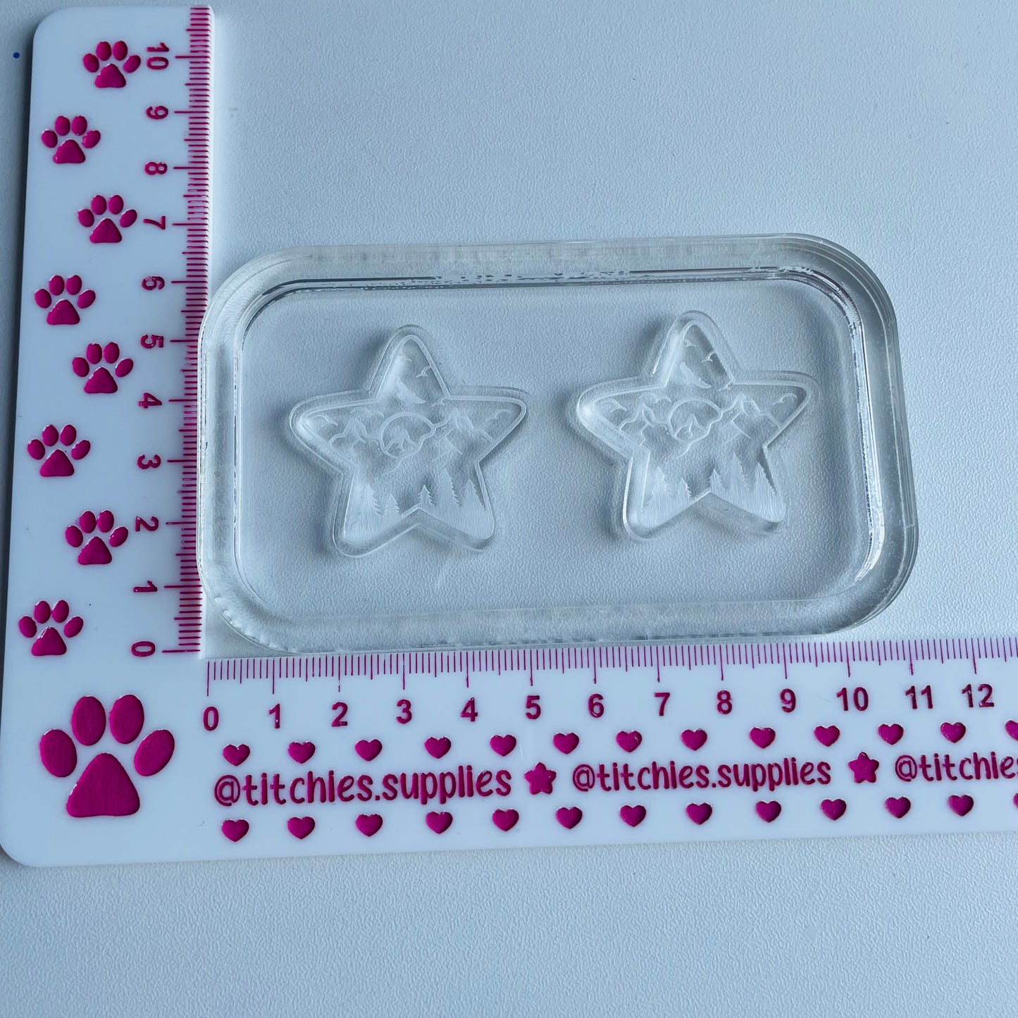 Forest Stars Earring Mould