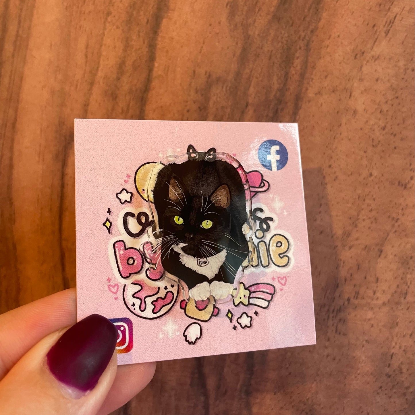 Acrylic Luna Pin